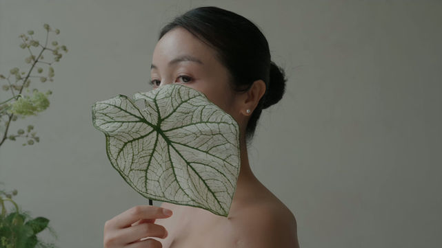 KIM OK VIN_FATED LIGHT